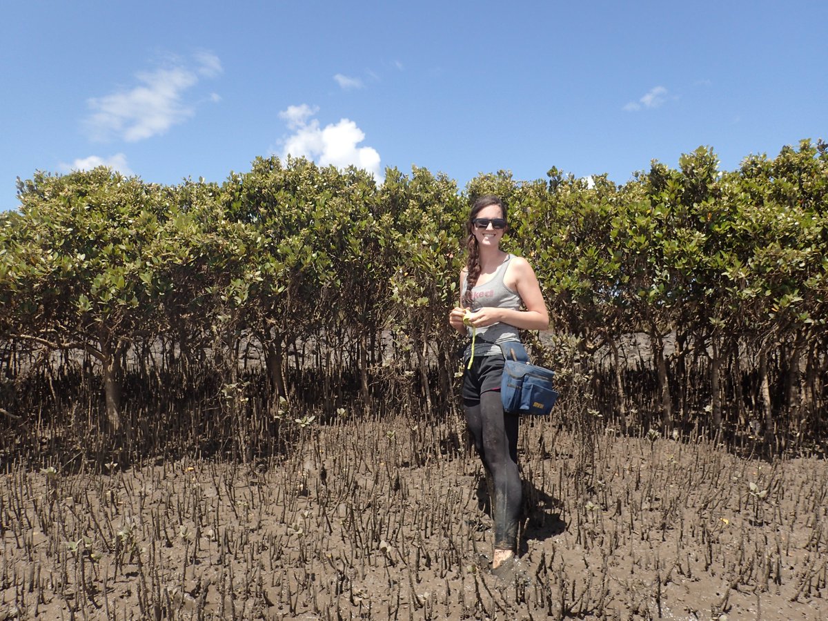 PeterMacreadie's tweet photo. Stumbled across these old photos of long-time colleague @stacey_teetee doing @BlueCarbonLab fieldwork 💪
Why aren't #scientists made into action figures?! 🤣
#FieldWorkFlashBack https://t.co/xNlQfOvotH