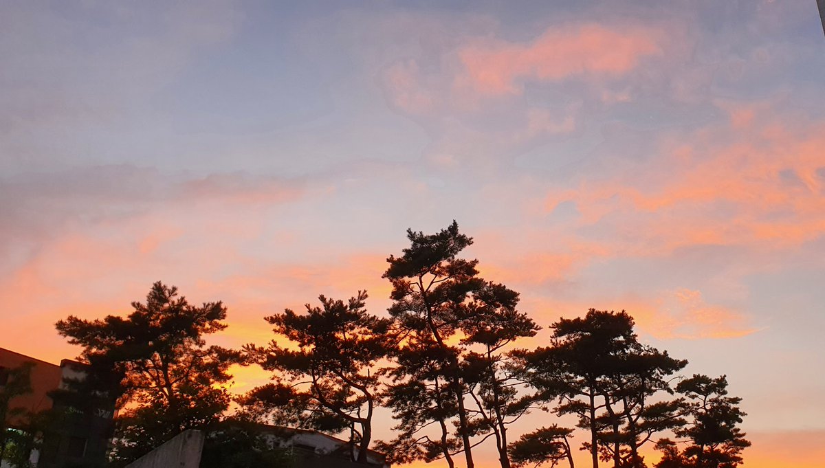 밥 먹다 말고 수저 내려놓고,
"나 노을 좀 보고 올께~" 하고 나왔다.