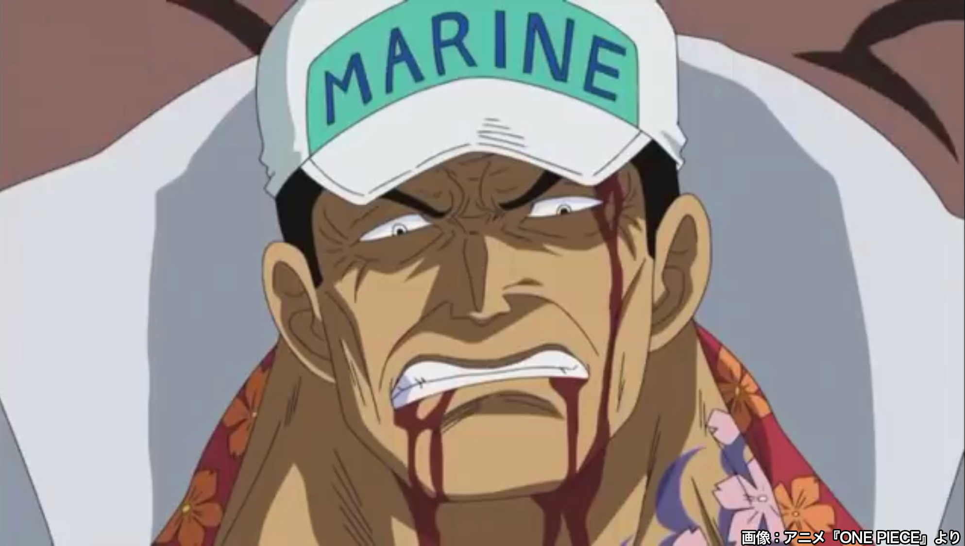 ライブドアニュース 赤犬 8月16日は サカズキの誕生日 One Piece の登場キャラクター 自然系 マグマグの実 の能力者でマグマの力を用いる 海軍本部大将の一人だったが 2年後の世界では海軍本部元帥に就任 悪は根絶やしにすべきとの 徹底的な