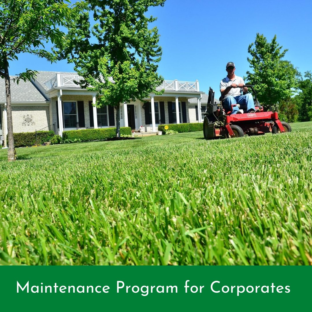 garden_help's tweet photo. Our dedicated maintenance team can work on your property year round spring, summer, autumn and winter to ensure your #property remains looking well presented.

For Booking, Call us at 0818 919 362 now!
 #GardenHelp https://t.co/M2wMweQqb2