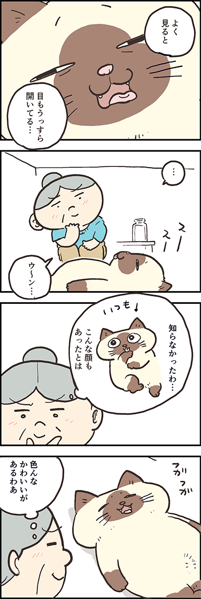 フガフガ～??  
おふくちゃんのたまらない寝顔、公開中?

第77話「ぶさかわ」

 『猫のおふくちゃん』の最新話は毎週金曜日に連載中♪
⇒(https://t.co/ZliBIOiJic)

#猫のおふくちゃん 