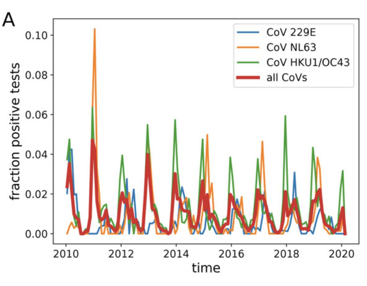Contrary to recent claims,  #SARSCoV2 is expected to be seasonal, as are essentially all >200 respiratory viruses in circulation, including the four 'common cold' coronaviruses (see below). (1/5)Source:  https://smw.ch/article/doi/smw.2020.20224