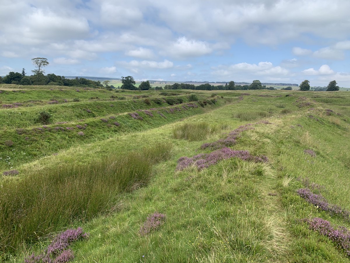The 5 ditches outside East Gate of #Ardoch #Roman Fort north of Stirling, result of successive reductions in size of 4 forts: 1st Flavian (AD 80s) then up to 3 Antonine forts (AD 140/50s). Southern anchor of Gask Ridge Frontier. Is this the best site in #RomanScotland: 5 stars?