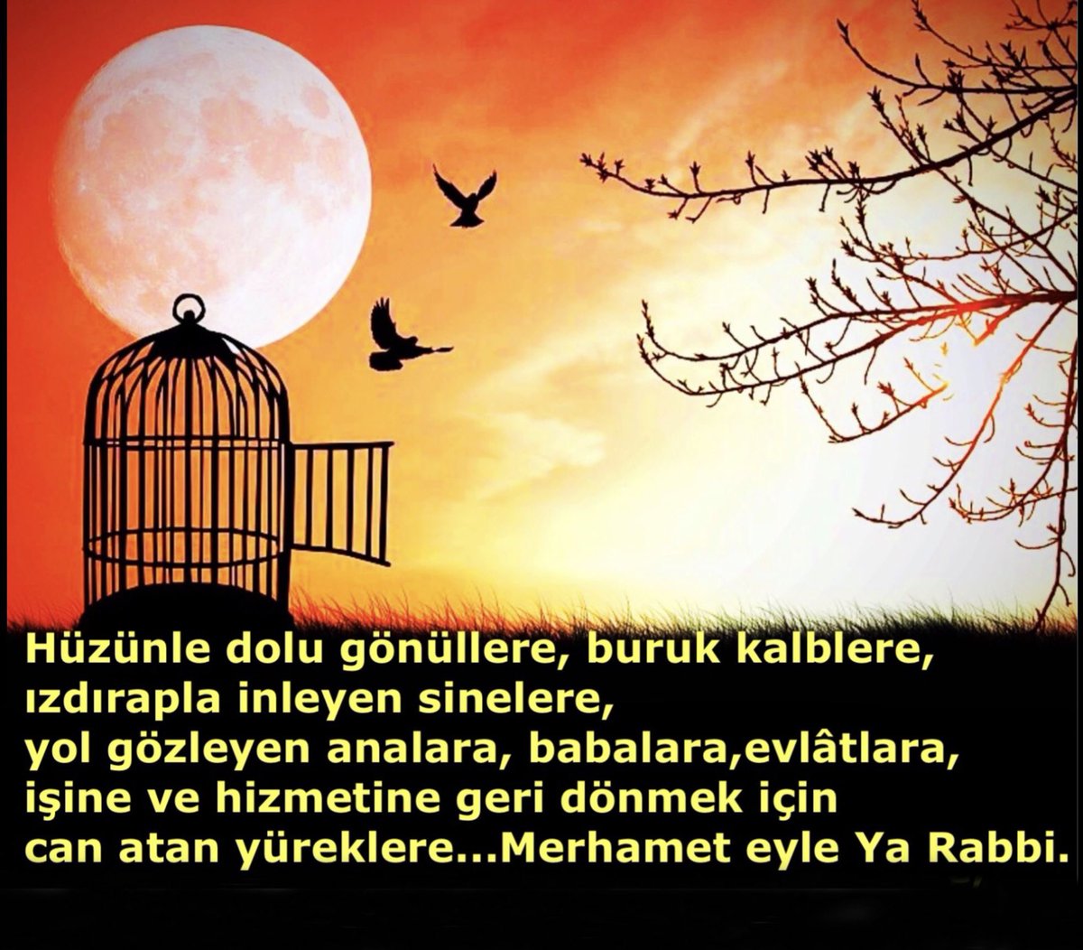 Hüzünle dolu gönüllere, 
buruk kalblere, 
ızdırapla inleyen sinelere, 
yol gözleyen analara, babalara,evlâtlara,
işine ve hizmetine geri dönmek için 
can atan yüreklere...
Merhamet eyle Ya Rabbi...
