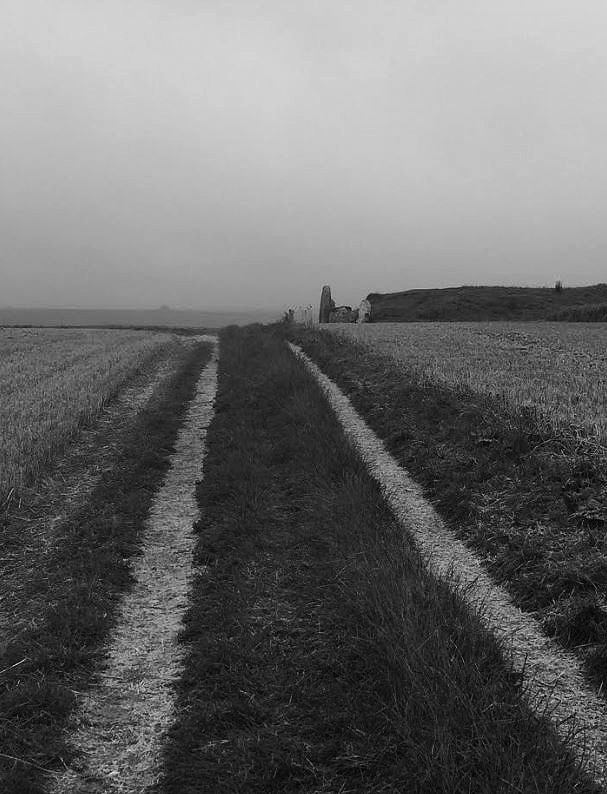 HooklandGuide's tweet photo. We walk the old tracks after harvest. Parade passed hollow barrows, standing stones that remain like the last persistent teeth in an ancient head grinning at the sky.  We walk towards a mist-owned horizon, the stories of the land folding into us. - #CLNolan https://t.co/shrdwHB73H