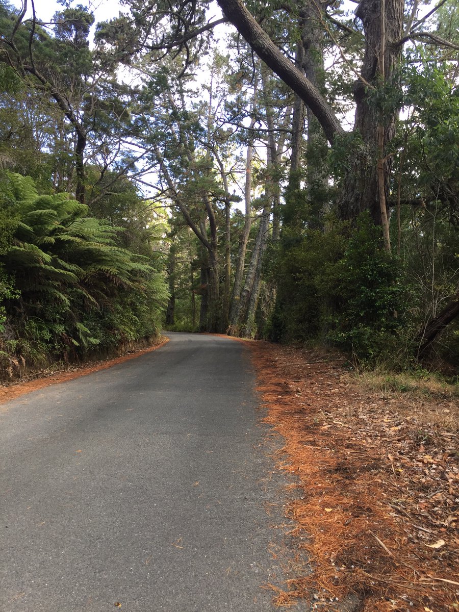 WhenDovesCry71's tweet photo. No place like home. 
So proud to be a kiwi in these scary times https://t.co/fQzsGyQGrK