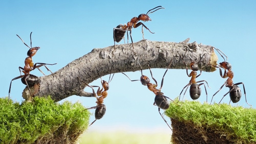 TeamscapesLearn's tweet photo. It’s not enough to simply group the best people in a team to achieve the desired outcome, you also need constructive team dynamics so your employees feel comfortable expressing their skills and experience. Read more >> https://t.co/6tFlGswBpr
#teambuilding #resiliance https://t.co/VbFX8ggVgC