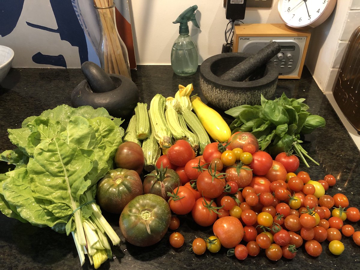 sladeadventure's tweet photo. This morning’s bountiful harvest from the playground. https://t.co/2mA9c9A00r