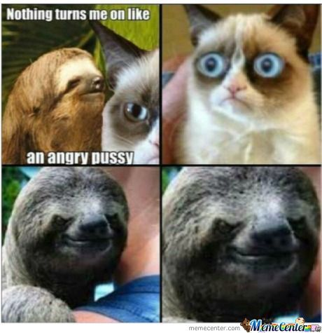 marixapanda's tweet photo. lol!!!!!!!!!!!!!!!!!! Poor #grumpycat the #rapesloth is gonna get her!๐๐๐ https://t.co/LxTSzmwqpO