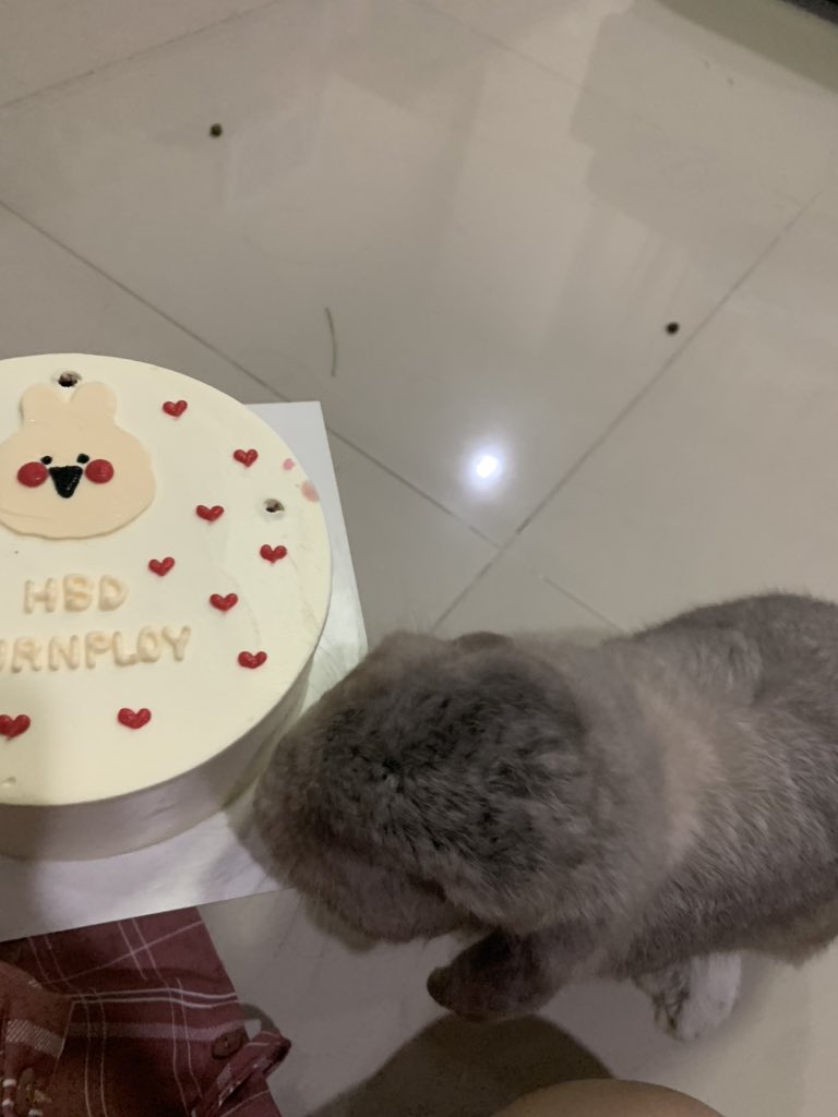 kanomniew's tweet photo. หนมขอกินด้วยคนฮะ https://t.co/BiQQYovq6V
