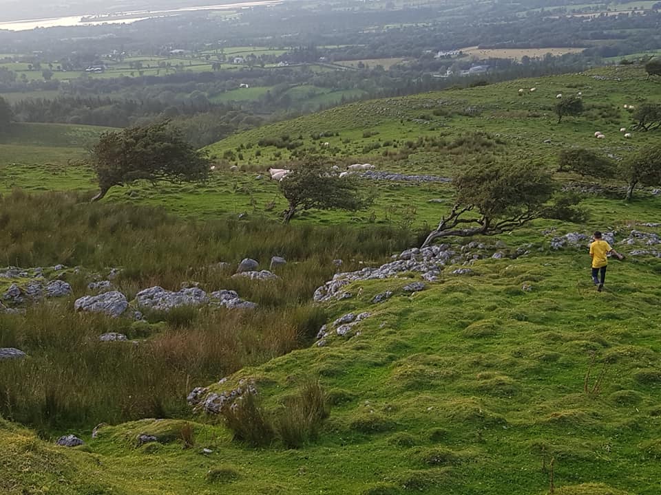 CuilcaghR's tweet photo. Few pictures of yesterday evenings walk around Florencecourt forest and Marlbank. https://t.co/d3TrjWpnHq
