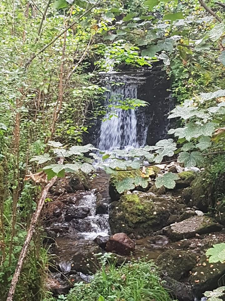 CuilcaghR's tweet photo. Few pictures of yesterday evenings walk around Florencecourt forest and Marlbank. https://t.co/d3TrjWpnHq