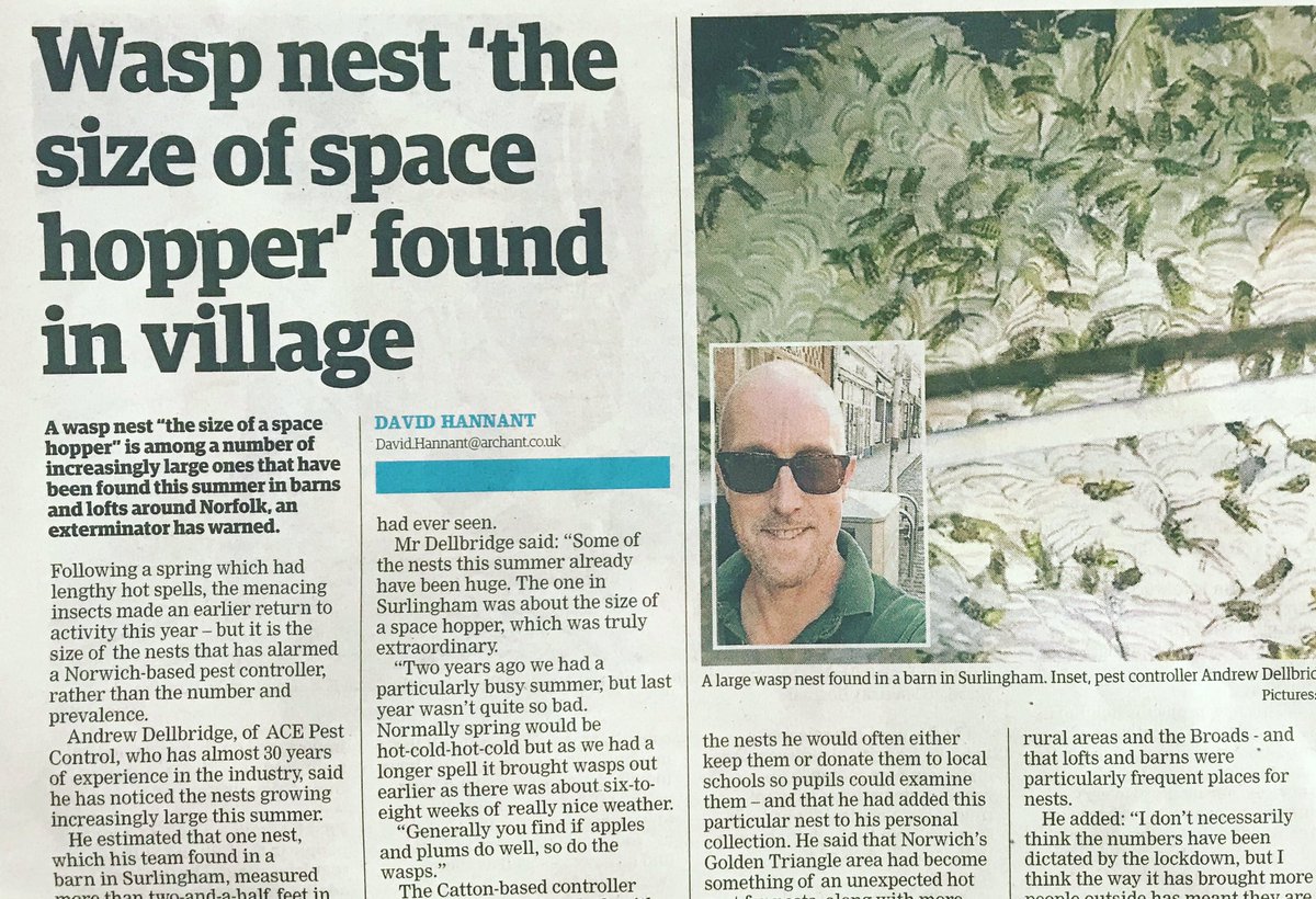 More great coverage in the @eastern_daily_press today. More wasp information #wasp #waspnest #summer #pestproblems #pestprevention #norfolk #acepestcontrol