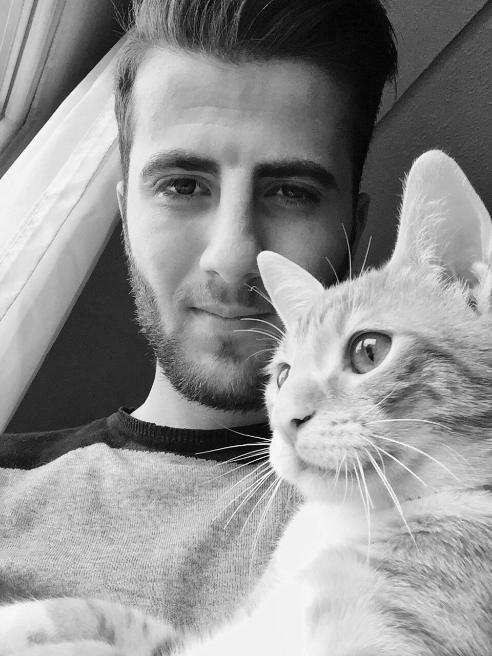 EfXkfehWoAAiQBD.jpg:large