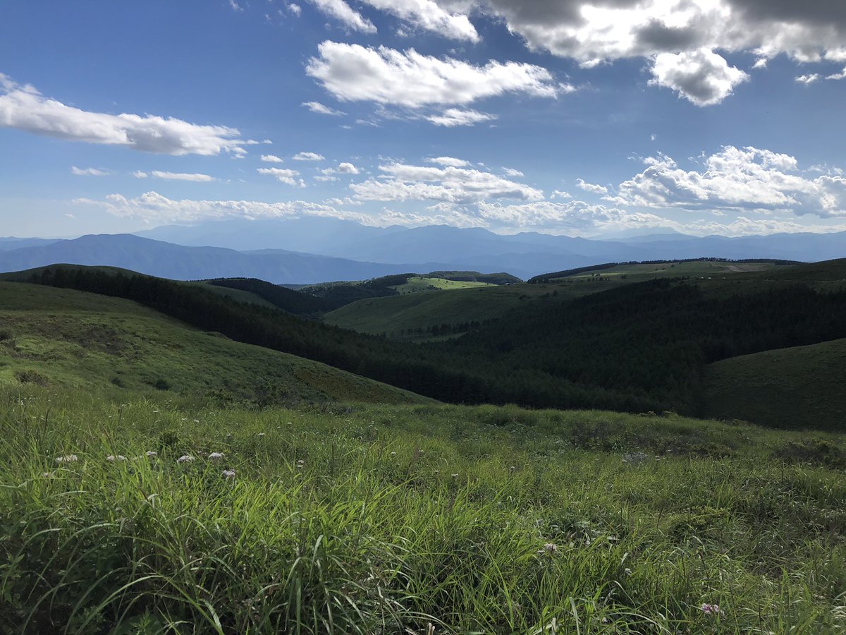 colonel_potato's tweet image. ビーナスライン絶景でした😌