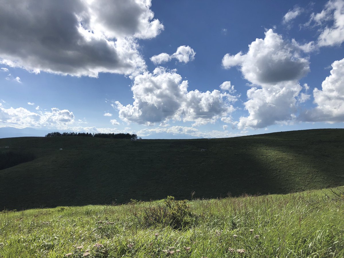 colonel_potato's tweet image. ビーナスライン絶景でした😌