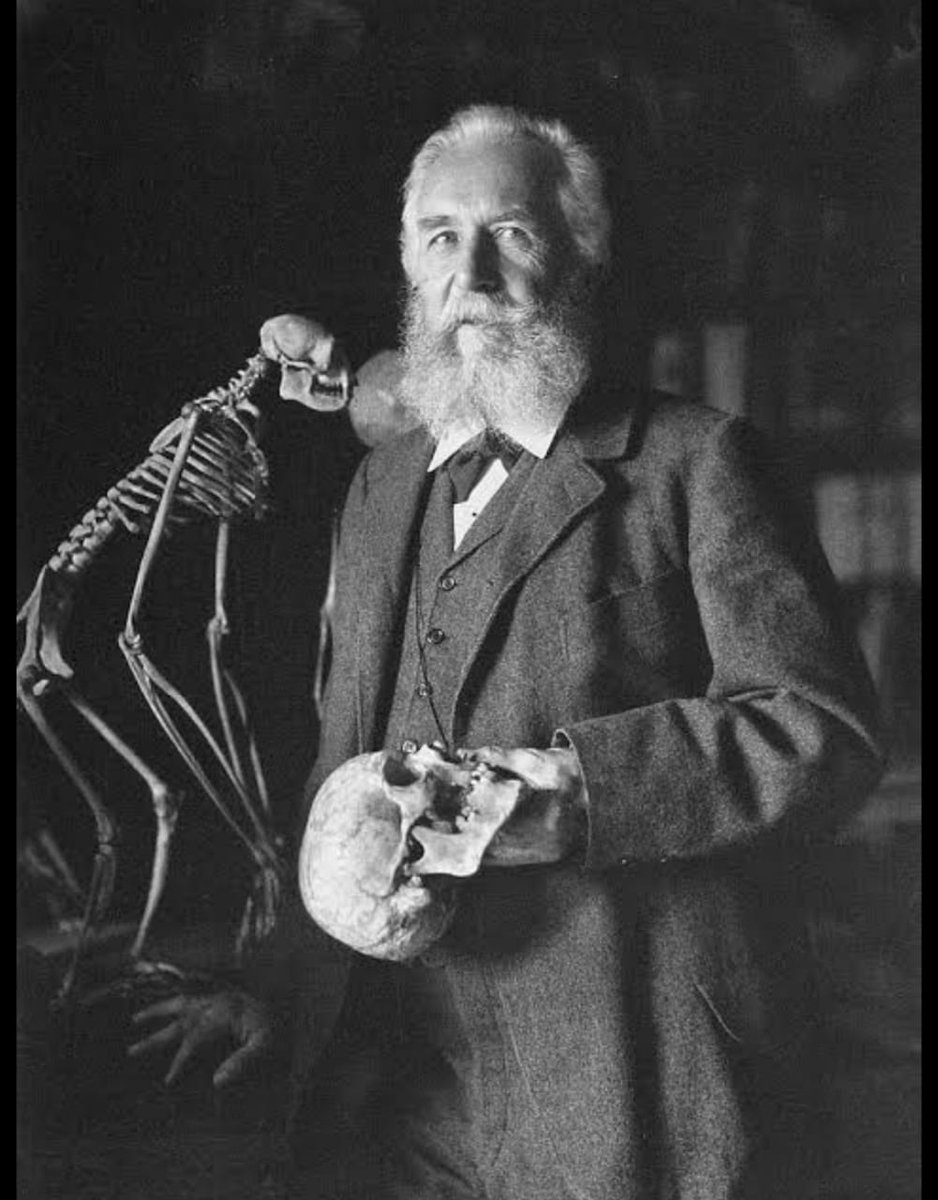 In the year 1859, Darwin published his book on evolution- On the Origin of Species. It wasn’t a very popular book among the public as it was technical & had few illustrations. Haeckel managed to tackle this with his book on Darwin’s theory called ‘The History of Creation’ in 1876