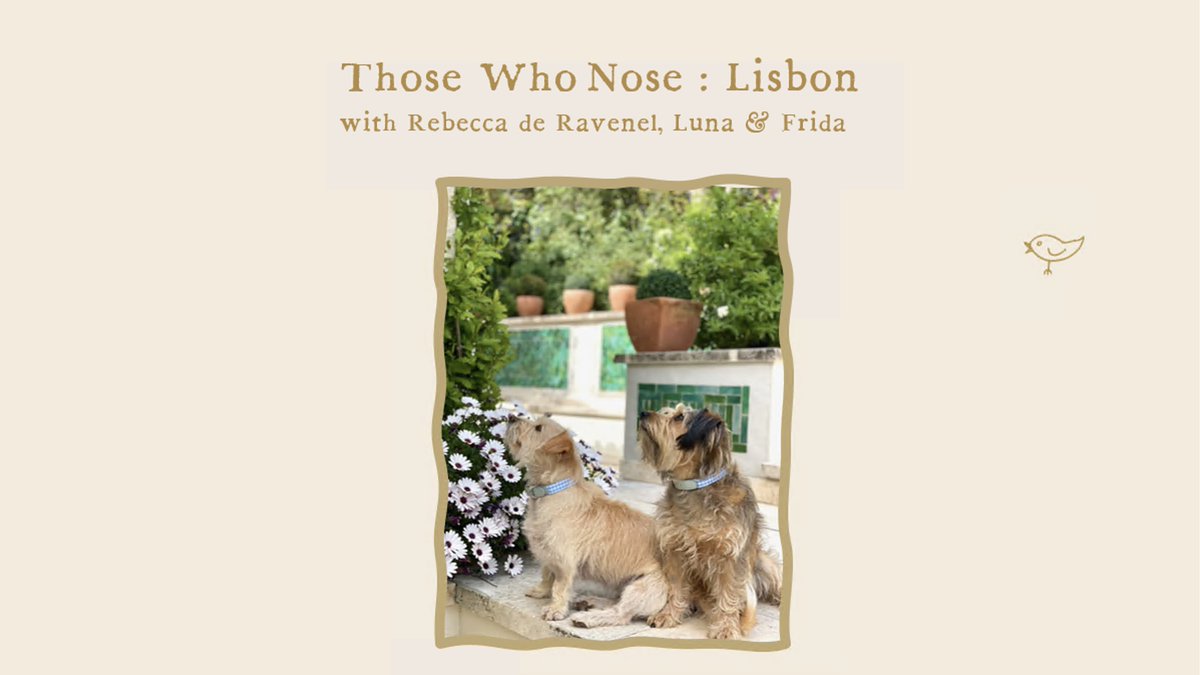 [THOSE WHO NOSE] This month we’re in beautiful Lisbon, Portugal with the elegant and talented accessory designer, Rebecca de Ravenel and her two rescue dogs Luna &amp; Frida. 🐶☀🌼
.
Read the article: mungoandmaud.com/news/lisbon-ci…
.
#MungoAndMaud
#RebeccaDeRavenel
#ThoseWhoNose