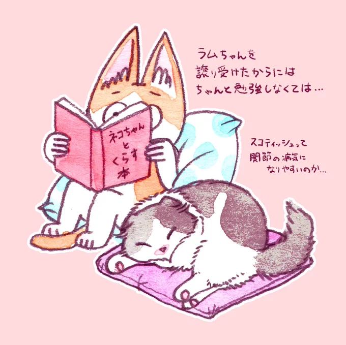 猫を飼うって、お姫様に仕えさせていただくようなものだなあと思いました 