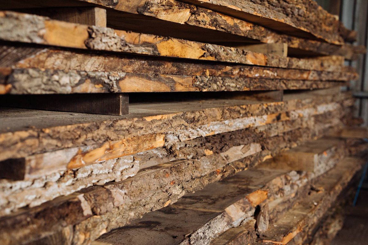 ForestAndMaker's tweet photo. Our Managing Director Will Hibbert says, there should be no hesitation when it comes to #timber specification. Follow the link to find out why…
#FridayReads #TimberForWellbeing #WeTheMakers
https://t.co/yCnIgnL9Nf https://t.co/Hv2Ij1vuPW