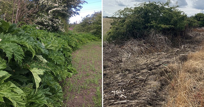 NEWS: Roundup ProVantage the go-to glyphosate - ow.ly/qyP550AZh8E
<a href="/ICL_Turf/">ICL Growing Solutions - Turf & Landscape 🇬🇧🇮🇪</a>