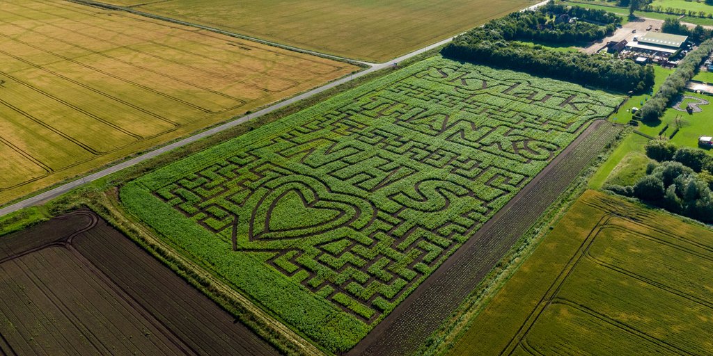 CarterJonas's tweet photo. We love what our clients @SkylarkGardenCentre have done with their Maize Maze this year - and we've done a case study of their brilliant diversified #arable farm in #Cambridgeshire. Read it at: https://t.co/lspAjF2ekd https://t.co/Zoibz1jC83
