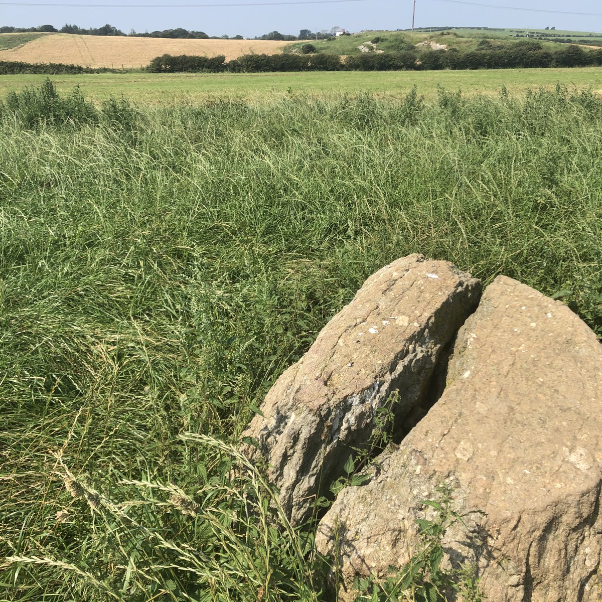 Slightly less impressive (sadly) was the Bedd Branwen Bronze Age ring cairn, the reputed burial site of the mythical Branwen from The Mabinogion. Couldn’t let the kids go a whole holiday without some enforced prehistoric remains...! 
@Discov_anglesey @AngleseyScMedia #Anglesey