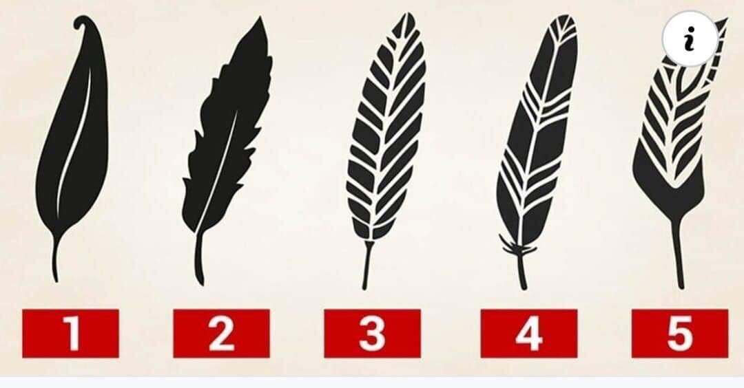 اكتب رقم الريشة التي تفضلها .. وستعرف تفاصيل مهمة عن شخصيتك .. 🌲🌿🌷