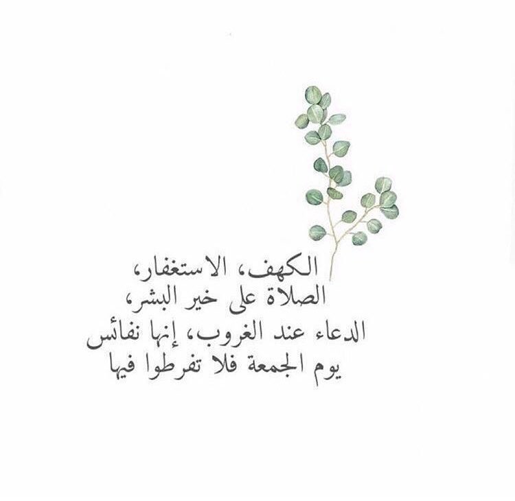 saaud_zd's tweet photo. صلّوا على من بُعِث رحمة للعالميّن 
و أَنيروا جُمعتكم بسورة الكهف🌿

#يوم_الجمعة
#سنابات_سعود_الشهراني https://t.co/krR9qZ2TD7