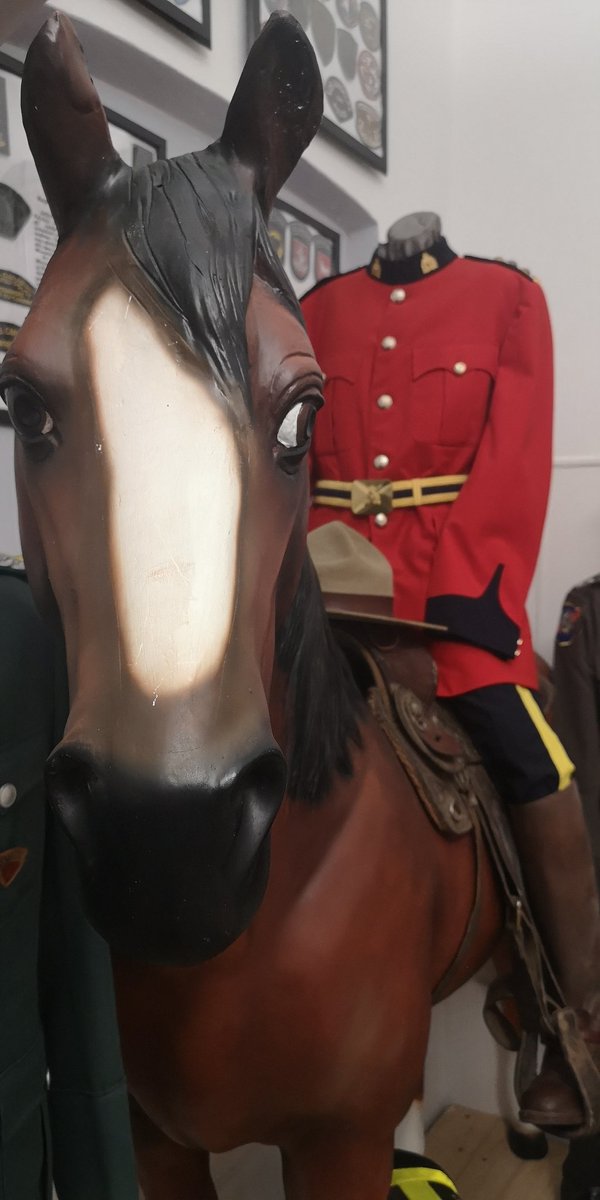 NpdfPresidente's tweet photo. Hi! Please, if you're a BLUE LINE supporter, retweet this photo! Help us to grow up our project. @cqrcmp @LangleyRCMP @LMDRCMP @MissionRCMP @RidgeRCMP @rcmpgrcpolice @SurreyRCMP @BurnabyRCMP @nvanrcmp @RichmondRCMP @BD1policemuseum @MSPMLC @DPolicemuseum @epolicemuseum https://t.co/LLqjLlMO7Q