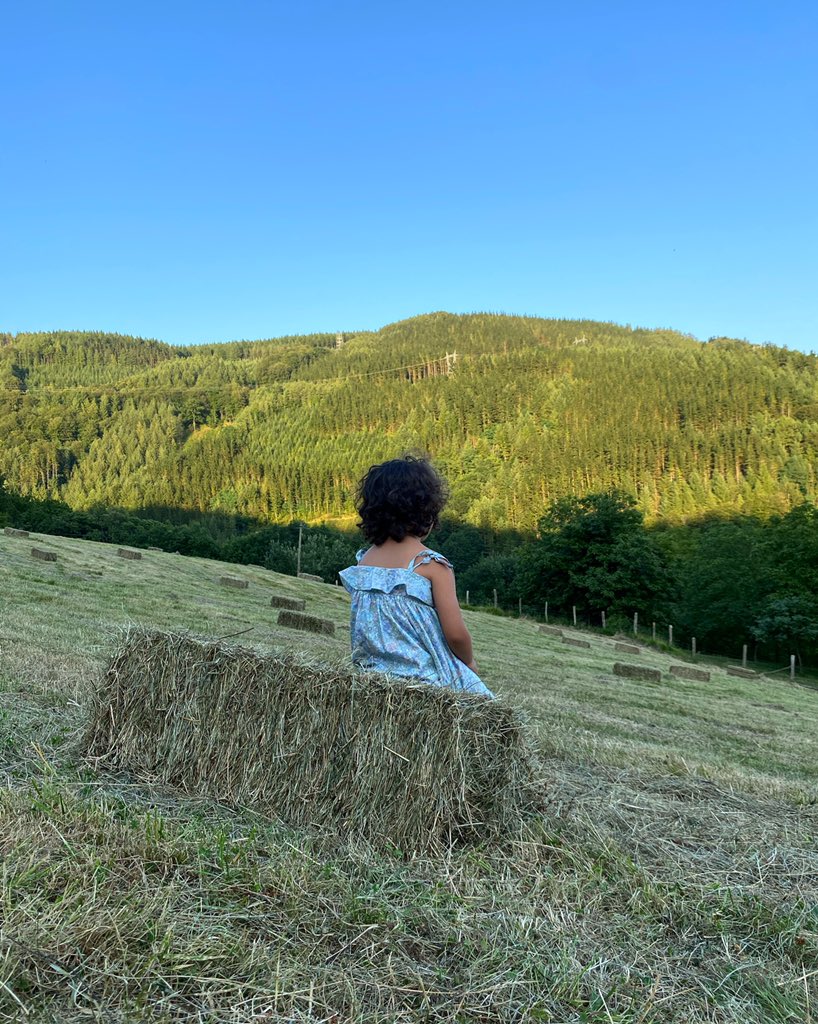 basquecheese's tweet photo. Summer days #amatxo #basquecheese #familylife https://t.co/JZLXnc5kUA