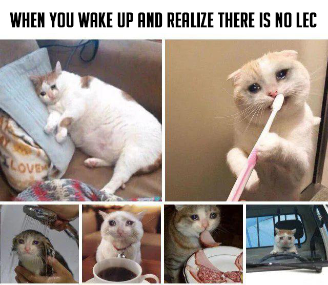 Woke up to realize there is no #LEC this weekend... 😿