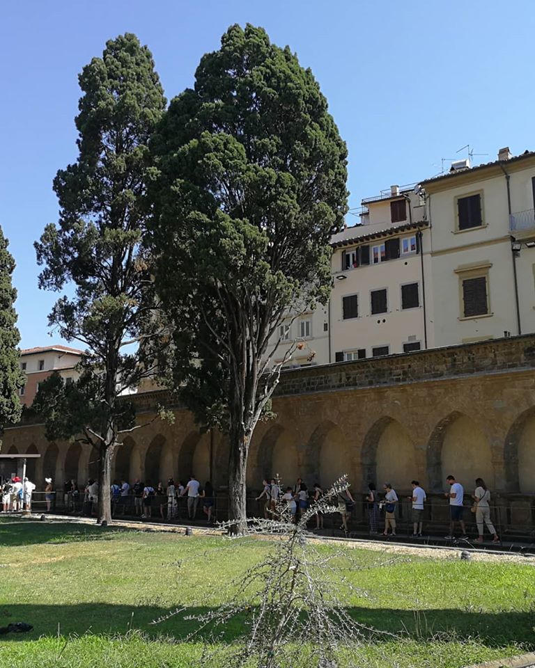 santamarianovella tweet media