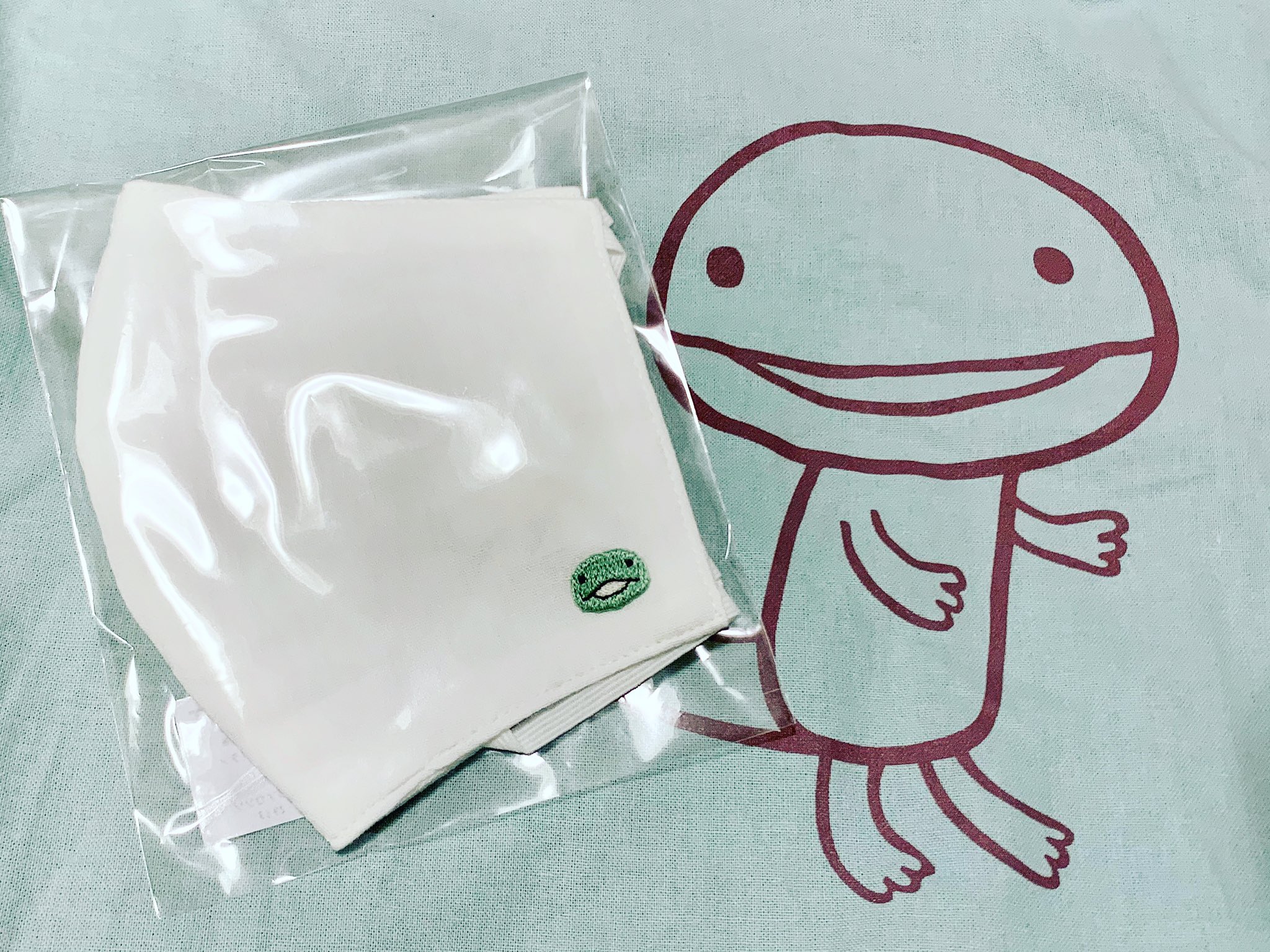 Uzivatel ただちゅう Na Twitteru あったぁぁ 念願の 夏用の トカゲちゃぁぁん この口をポカーンと開けている顔がなんともアホみたいで愛くるしい 明日からいっぱい使うー アランジアロンゾ トカゲちゃん T Co Rspipcny70 Twitter