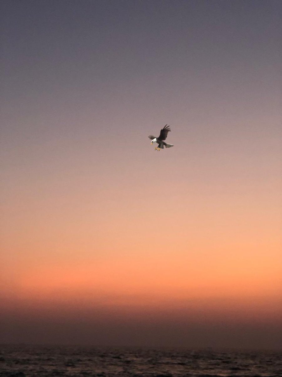 اذا أردت ان تحلق ....
فعليك التغلب على القوى التى تجذبك للاسفل .. 
# ايجابية