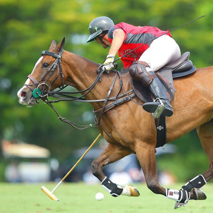 pologear's tweet photo. Professional’s Choice VenTECH English Girths are the girth of choice in the polo world. Most players simply would not consider anything else. #BestPlayingPony #Equestrian #HorseLover #HorsePolo #InstaHorse #NicRoldan #PoloEquipment #PoloGear #PoloGearUSA #PoloHorse #PoloLover https://t.co/CShlyAhmVt