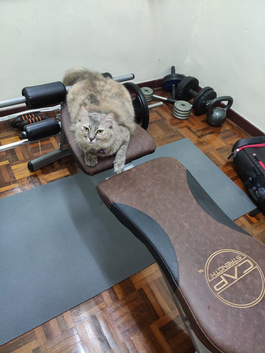 IzzyWafi's tweet photo. Ni sape nak bench press ni?! #Julin https://t.co/bWxGdXFUJ3