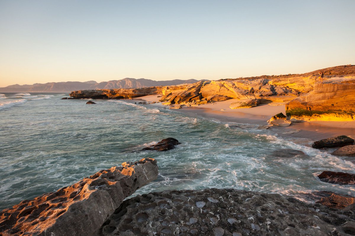 Grootbos tweet media