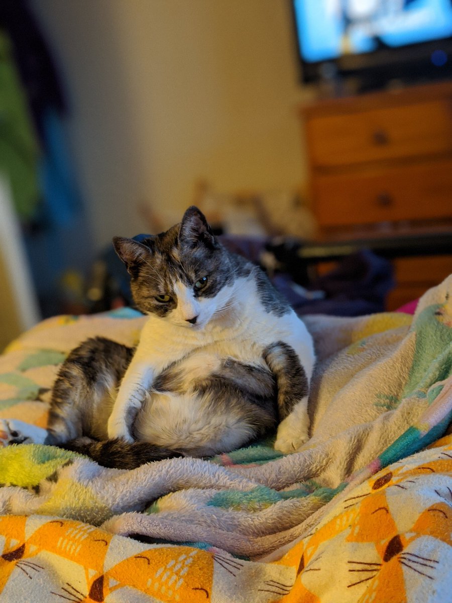 2020 mood board using only pics saved on my phone... 

#2020MoodBoard #MoodBoard #Covid_19 #WorkFromHome #OverIt