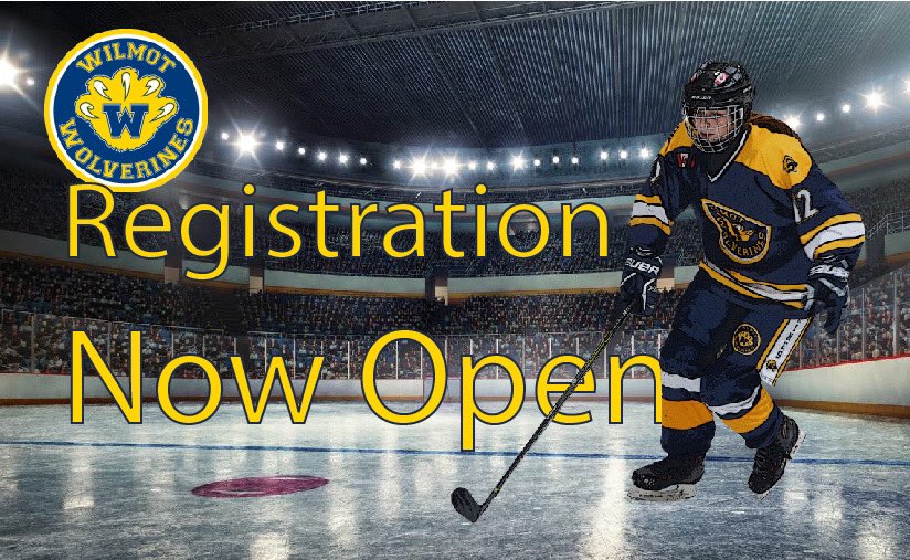 Our initial player registration deadline is tomorrow.  This initial registration will allow us to begin allocating players into their player groups based on last year's teams (as per OHF guidelines). wilmotgirlshockey.com/Articles/6583/…
