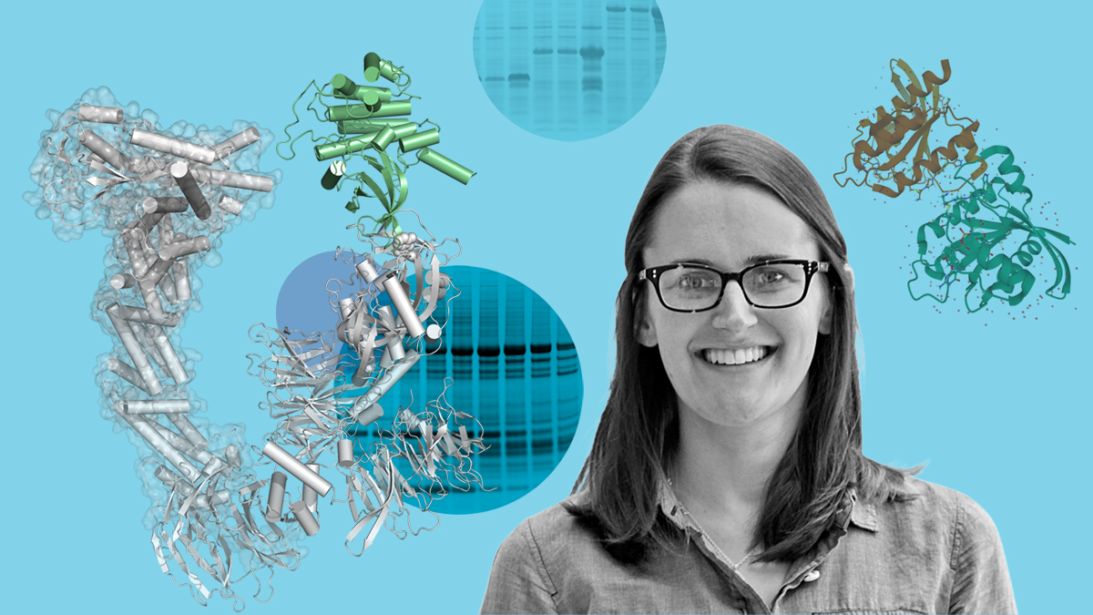 cenmag's tweet photo. Lynn McGregor is a #proteindegradation expert developing technologies to unlock the secrets of the proteome for drug discovery. @NovartisScience https://t.co/pifN9aMIKX #cenT12 #DrugDiscovery https://t.co/lawDTWorRK
