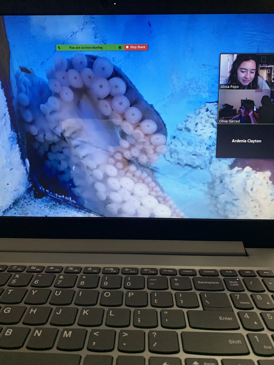 PopoAlissa's tweet photo. We went on a field trip to the aquarium today! So fun to “walk” around and see the different animals and fish that live in the aquarium! https://t.co/3ACVjYO4pw