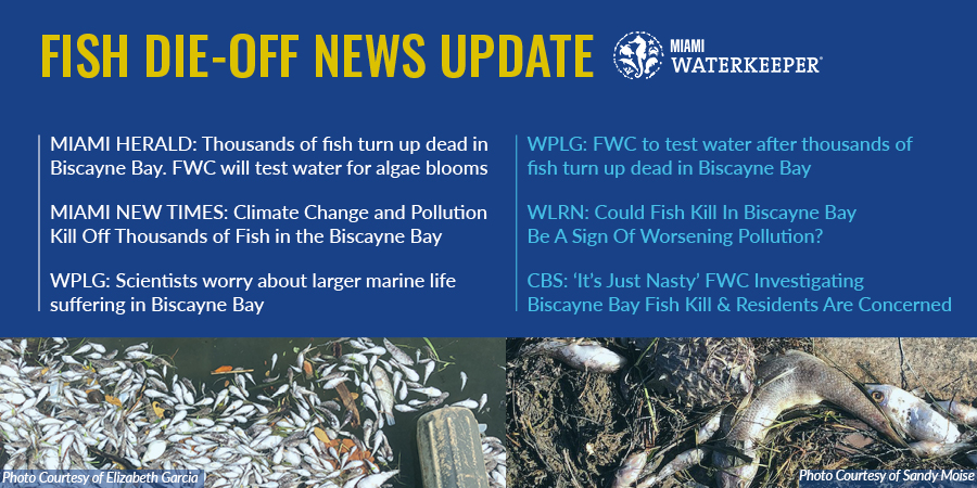 Help us #ProtectOurWater! We’ve captured the attention of several local news sources but we need you to raise awareness with us! Share this link with your friends &amp; family to stay informed on the latest fish die-off news: bit.ly/2Ffny26