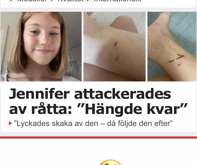 Förstår att ni är besvikna Gnaget men det här var väl ändå att ta det lite långt? #Bajen #superettanhärkommergnaget