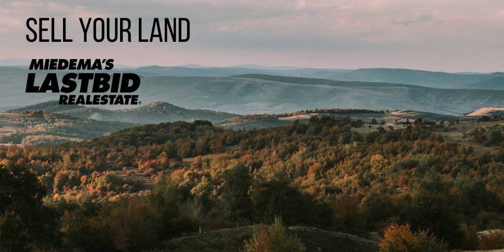 Looking to sell your hunting property? Let us help you!
Sell your land through an auction with LASTBIDrealestate
lastbidrealestate.com/sell/
Contact Jordan:
616-460-8936 | Jordan@1800lastbid.com
#huntingland #landforauction #onlinelandauction #huntingproperty #lastbidrealestate