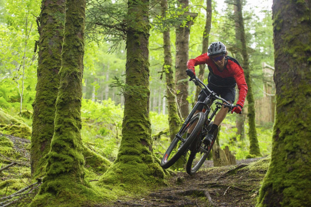 BlueWheelBikes's tweet image. Nothing better than quality alone time. Biking is a healthy reason to play outside and a great way to learn an area - whether in town or the surrounding counties. Just remember to hydrate and practice biking safety!