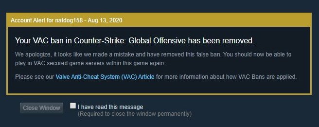 HUGE Game PULLED From STEAM - PLEASE Let This Be a MISTAKE! 