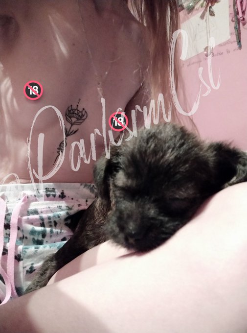 Otra m&aacute;s con mi nueva compi🐶😊 es buen&iacute;sima❤️ #14agosto #ViernesDeGanarSeguidores https://t.co/TrIrMt<a href="/tag/14agosto"class="tags">#14agosto</a><a href="/tag/viernesdeganarseguidores"class="tags"><span>#viernesdeganarseguidores</span></a>