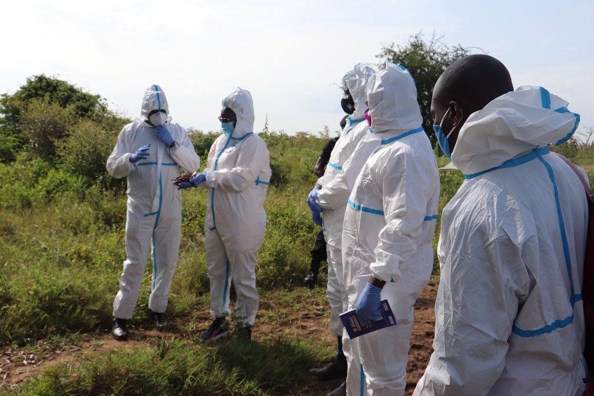 HellenAdoa's tweet photo. Desert locusts invaded Napak district yesterday and today, I visited the district to monitor the team deployed in the region to control the invasion.
I am pleased with the efforts being done to get rid of these desert locusts.
@MAAIF_Uganda @UGLocustControl @FAOUganda https://t.co/zpalBQLwT1