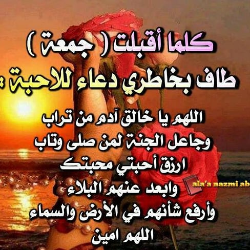 ابوابراهيم (@ahmedmalahmed54) on Twitter photo 